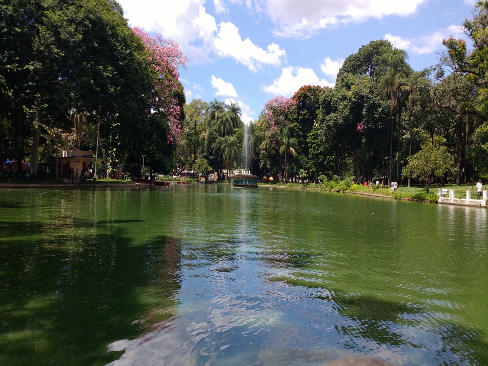 Arvi Park and Piedras Blancas Park
