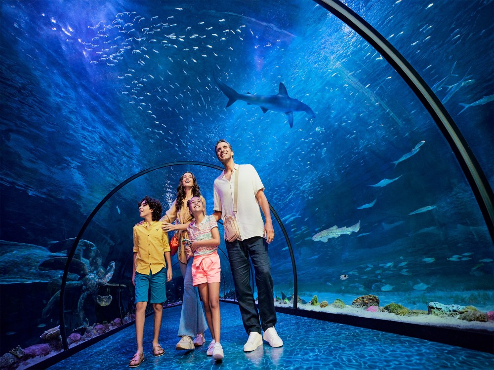 The National Aquarium