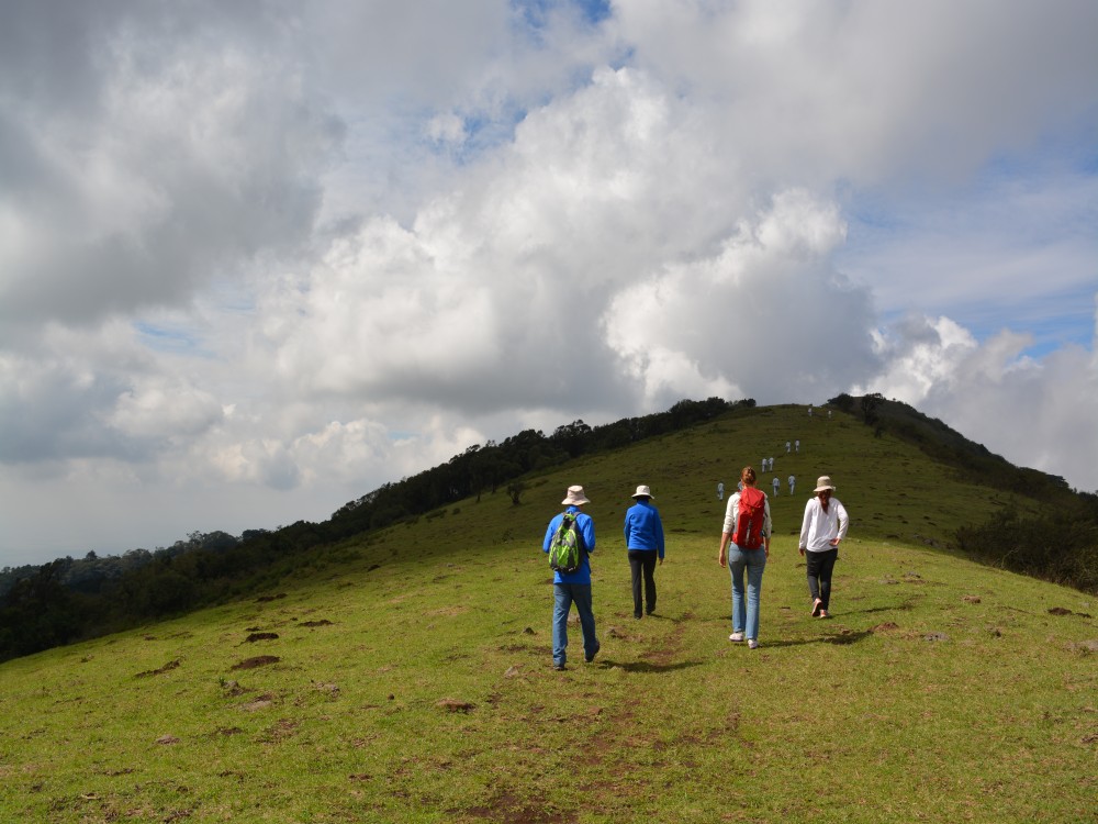 Ngong Hills