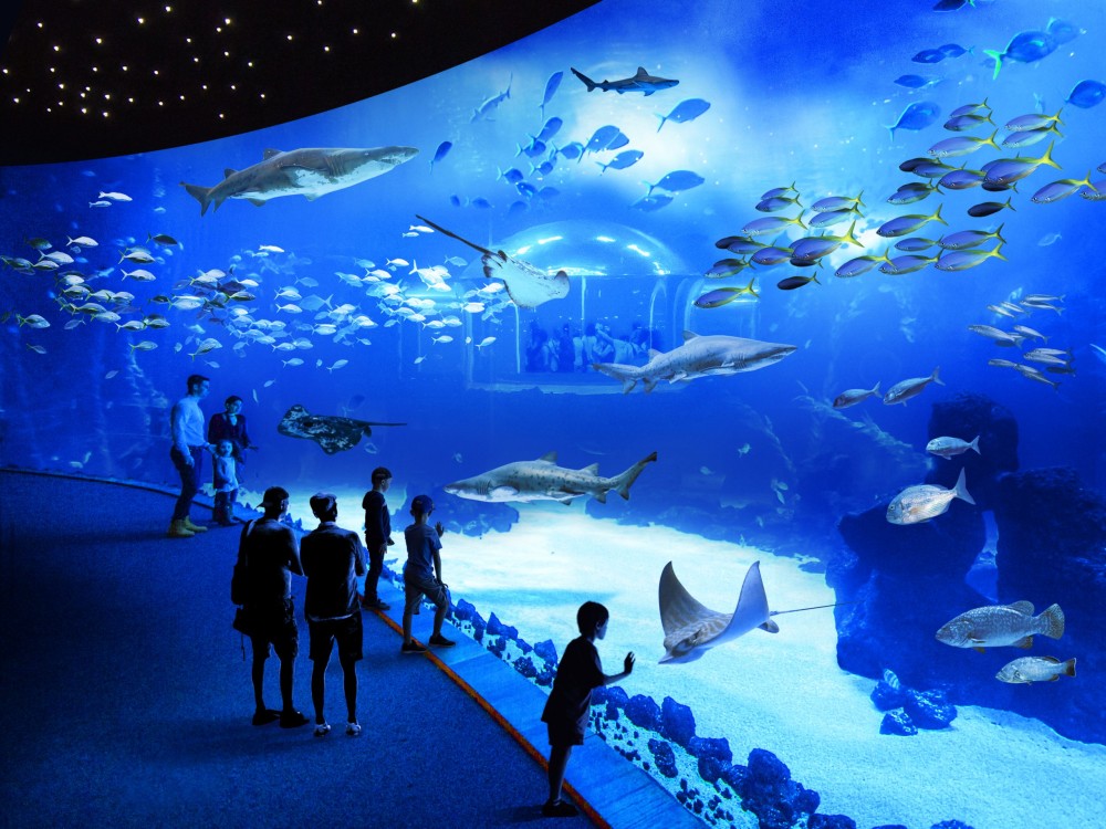Poema del Mar Aquarium