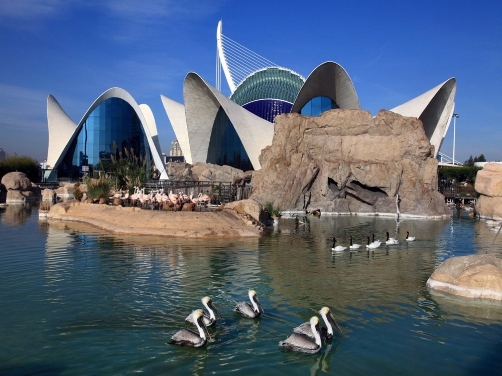 Valencia Oceanografic