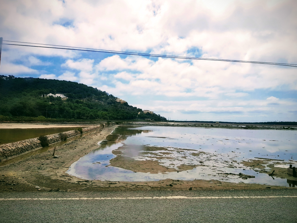 Ses Selines Natural Park (Parque Natural de Ses Salines)