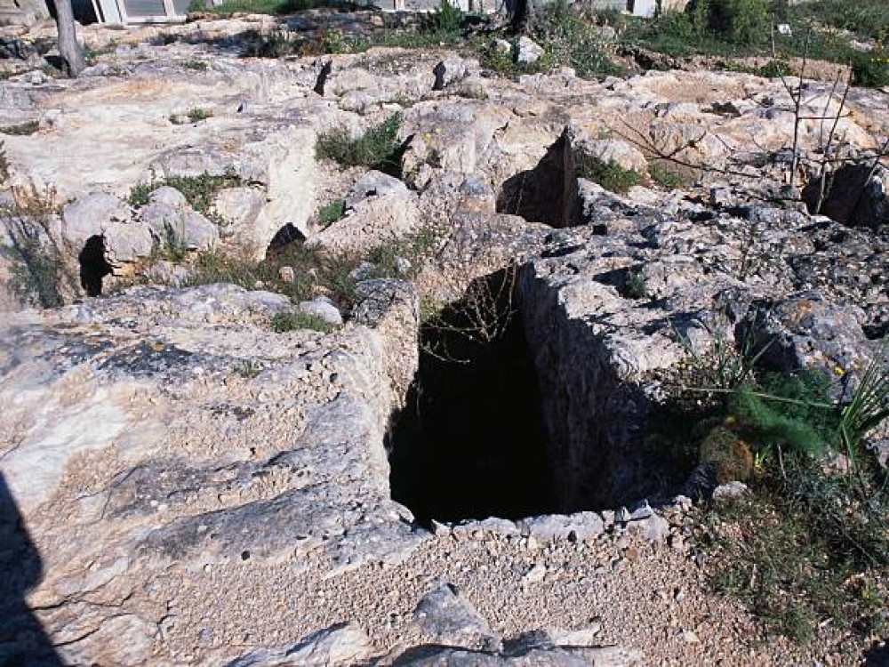 Necropolis of Puig des Molins (Necròpolis del Puig des Molins) 