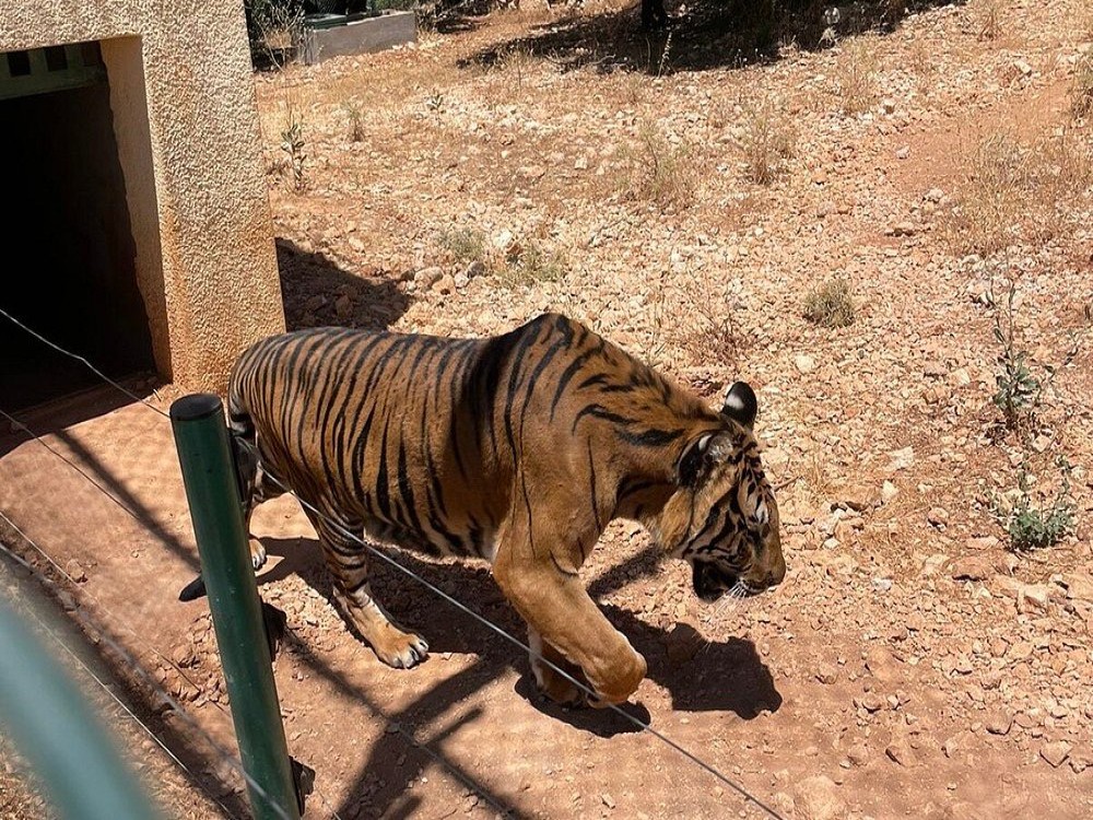 Al Ma'wa for Nature and Wildlife