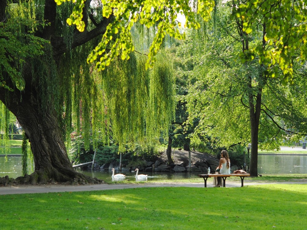 Seboba Nature and Recreational Park