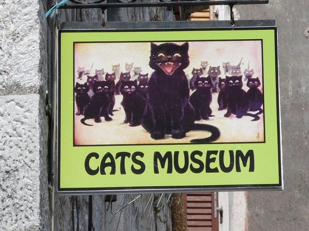 Cats Museum