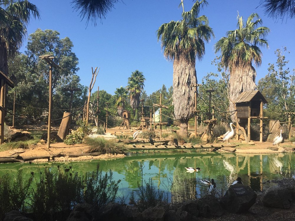 Parque Zoológico De Lagos