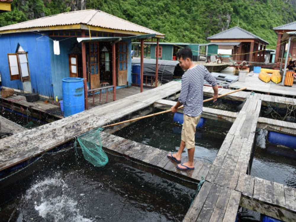 Cua Van Floating Village