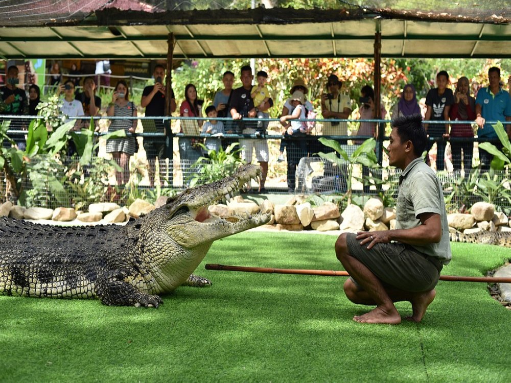 Crocodile Adventureland Langkawi