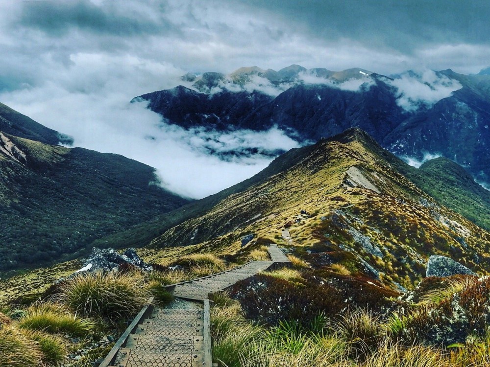 Kepler Track