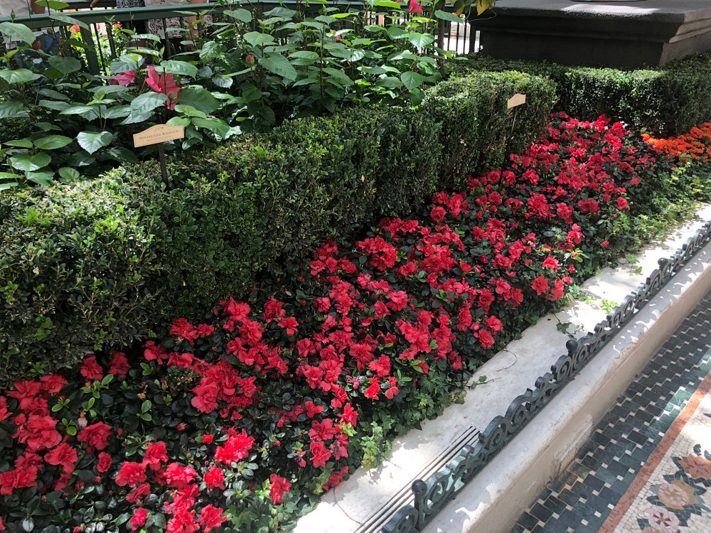 Bellagio Conservatory & Botanical Garden