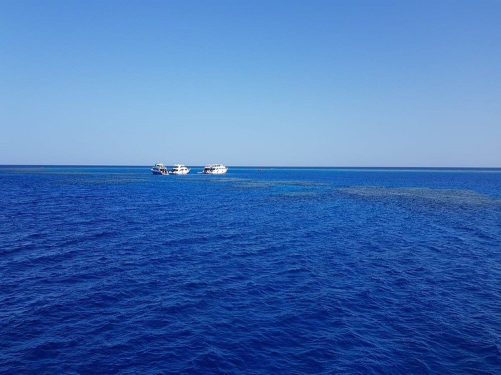 Dolphin House - Shaab Samadai