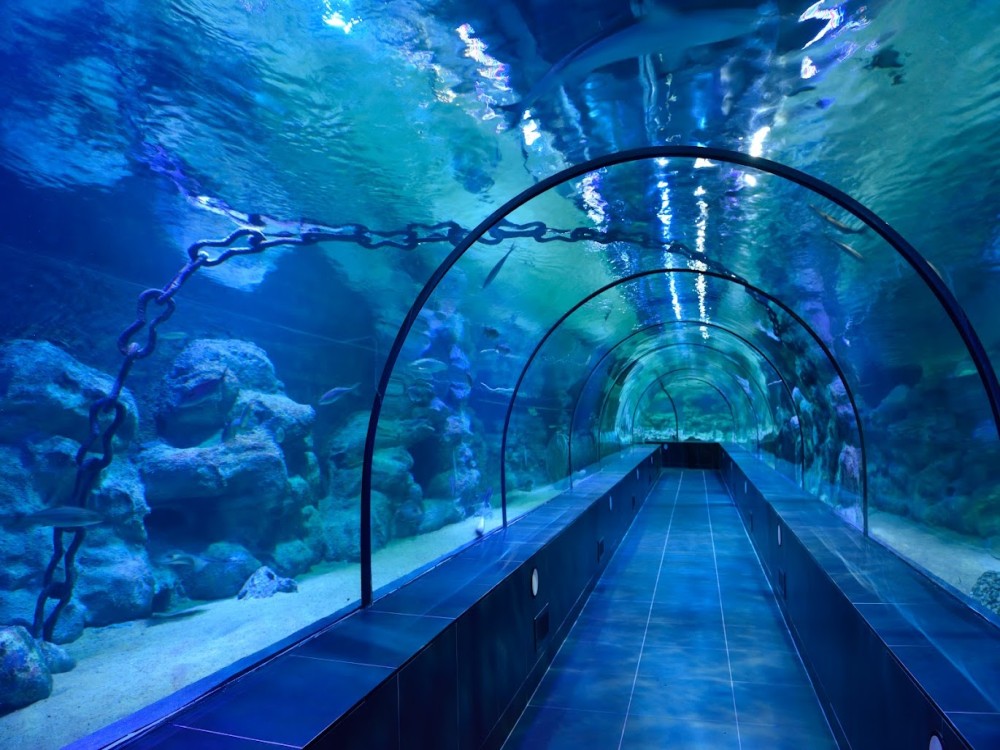 ViaSea Aquarium