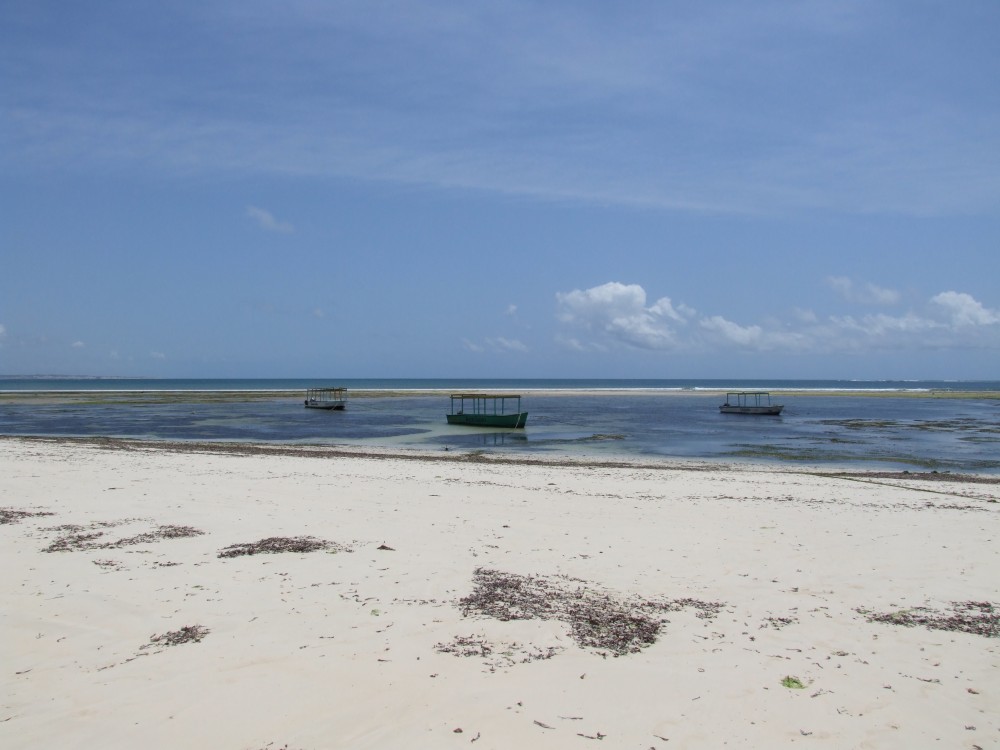 Malindi Marine National Park