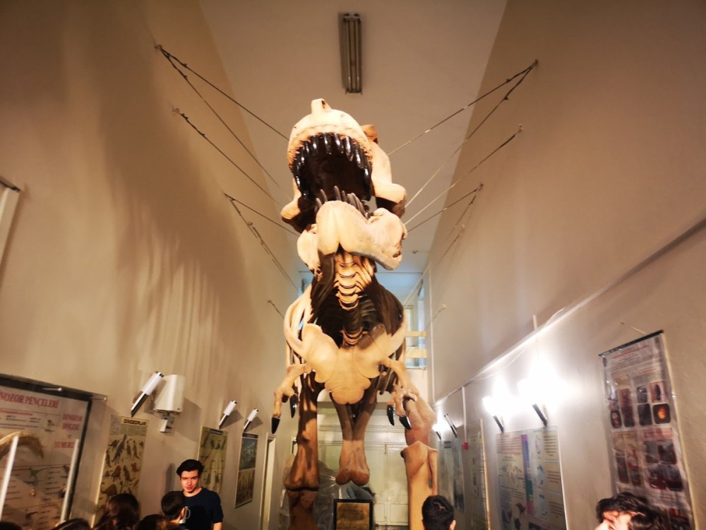 Natural History Museum