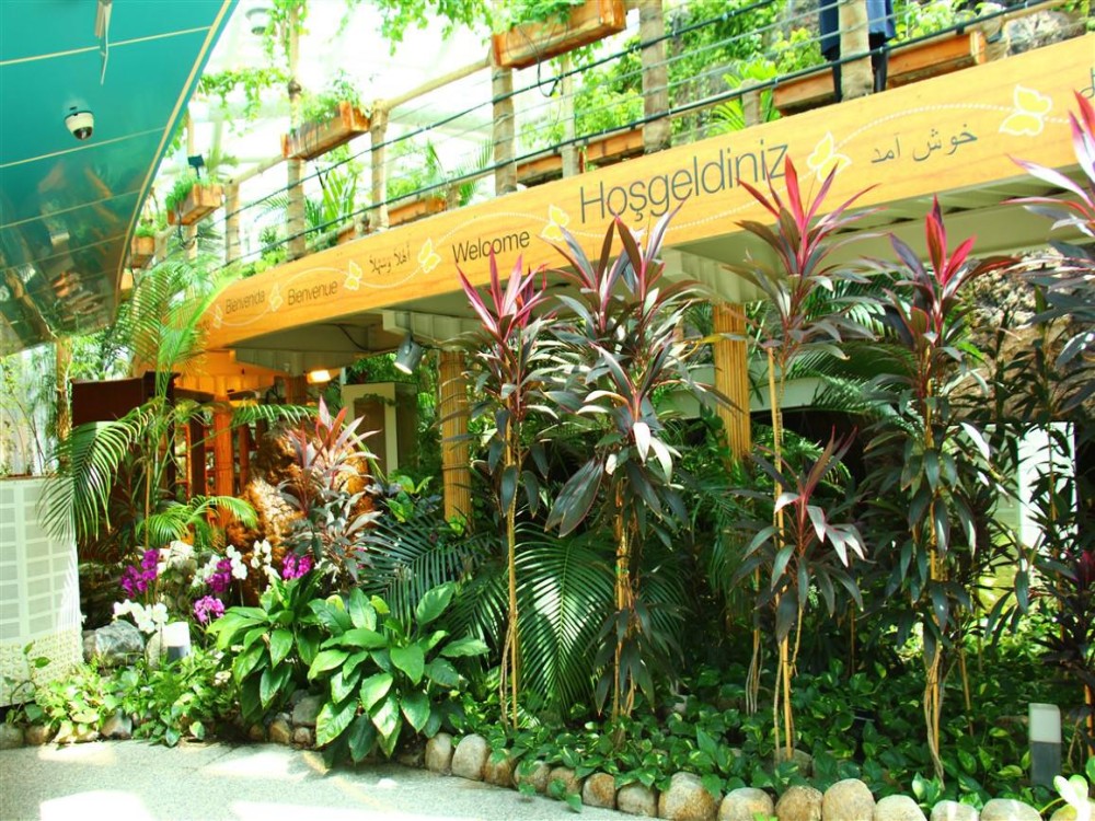 Tropical Butterfly Garden