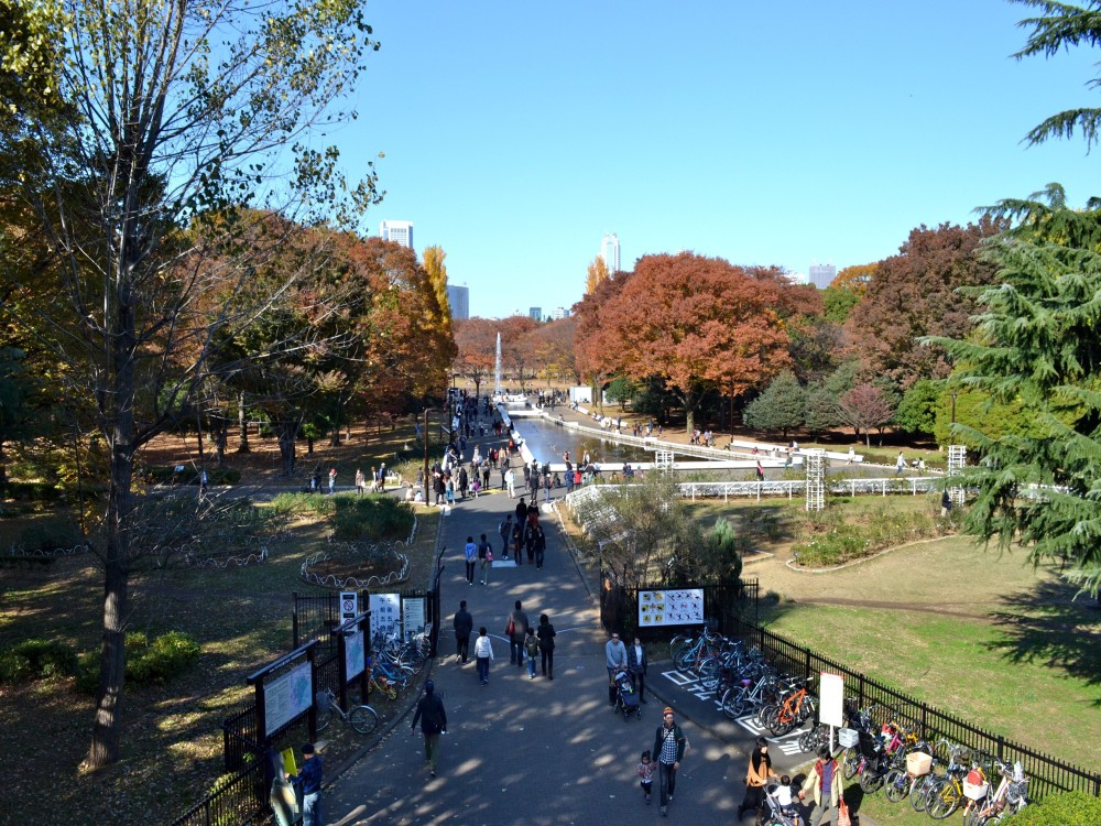 Yoyogi Park