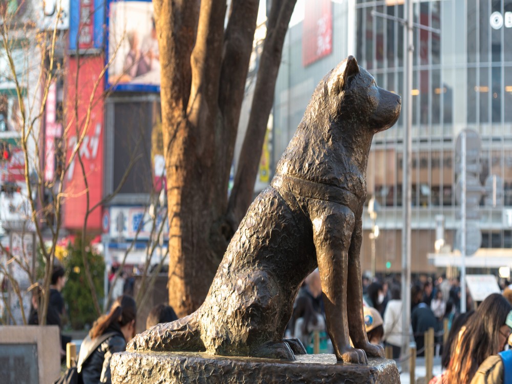 Hachiko