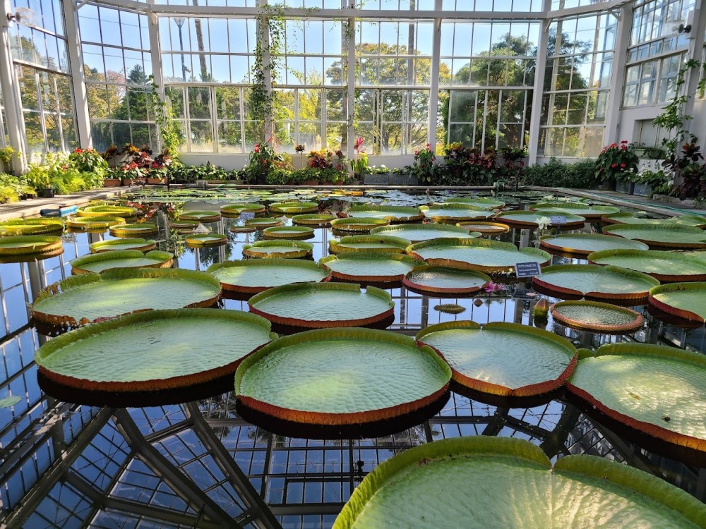 The Hiroshima Botanical Garden