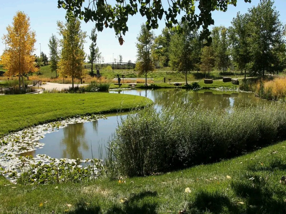 Chapungu Sculpture Park