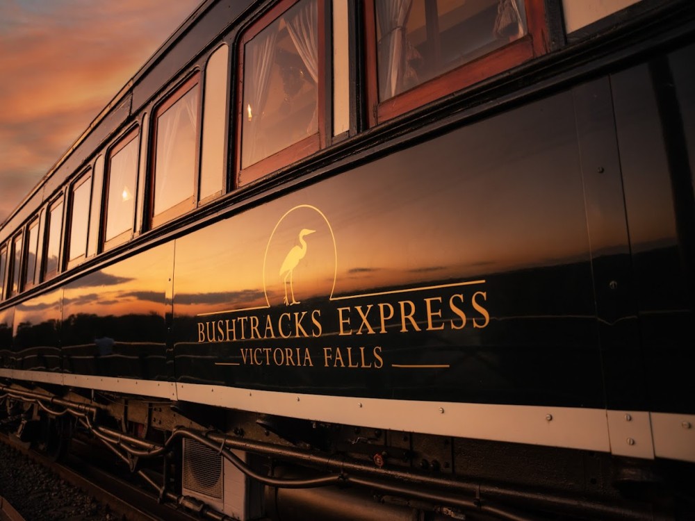 Bushtracks Express