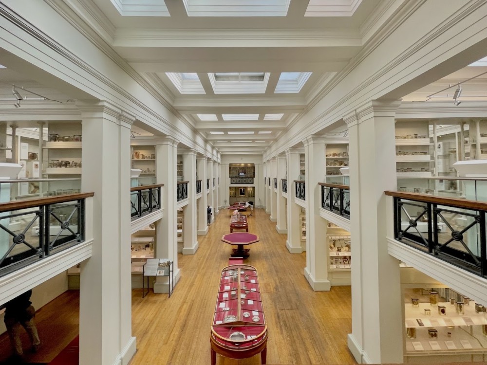 Surgeons' Hall Museums