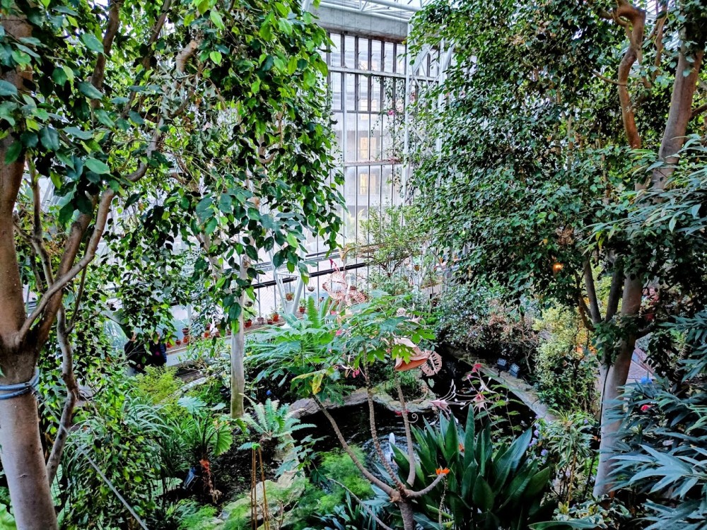 Barbican Conservatory