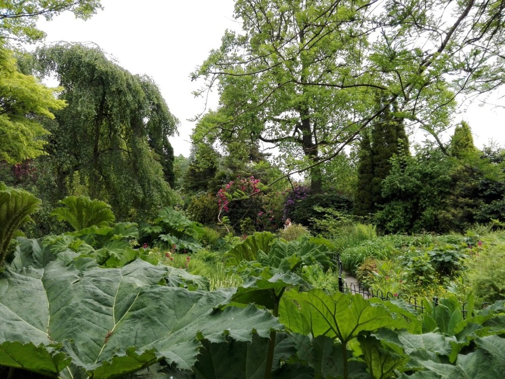 Fletcher Moss Botanical Gardens