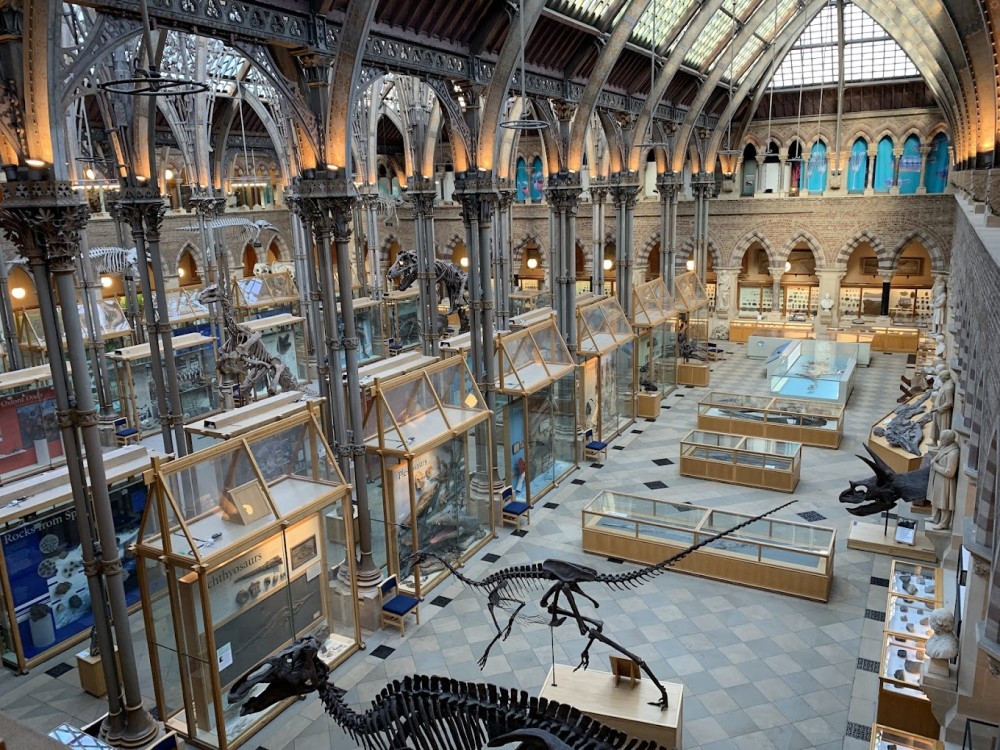 University Museum of Natural History