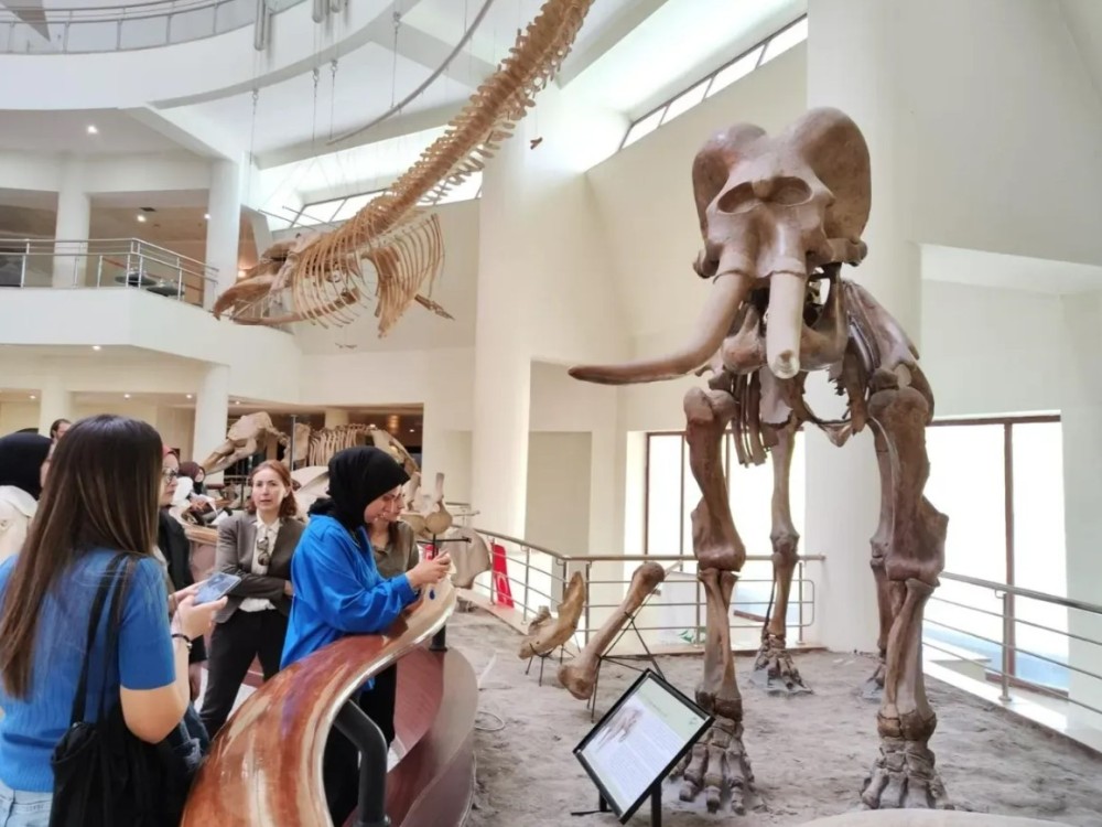 Martyr Cuma Dag Natural History Museum