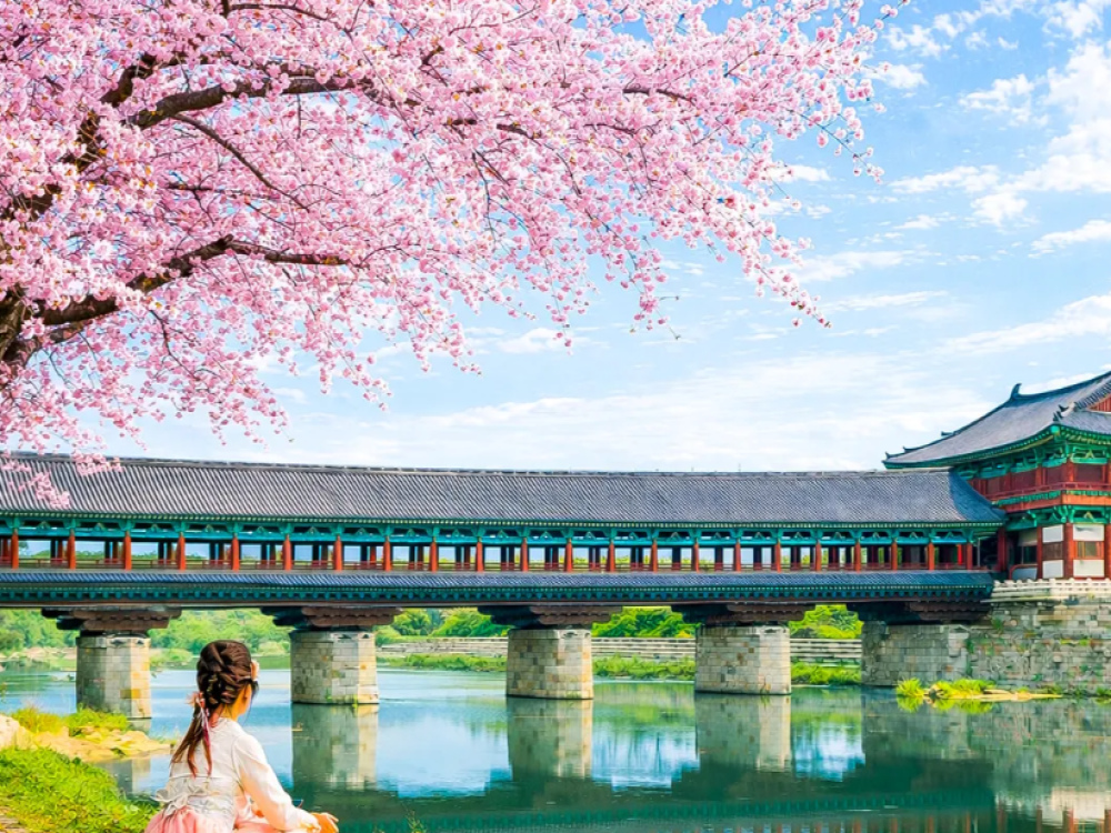 Silla Millennium Park