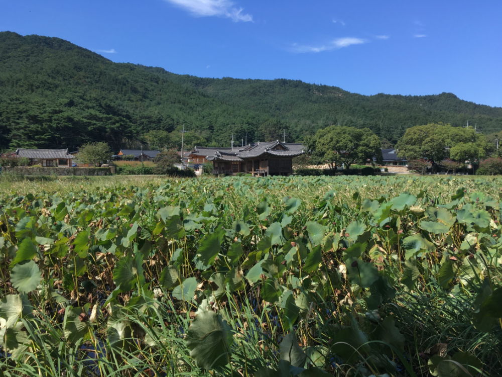Seochulji Pond
