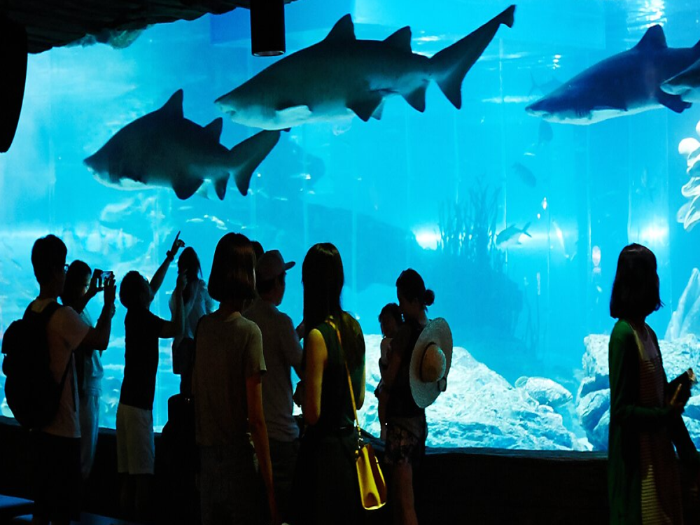 SEALIFE Busan Aquarium