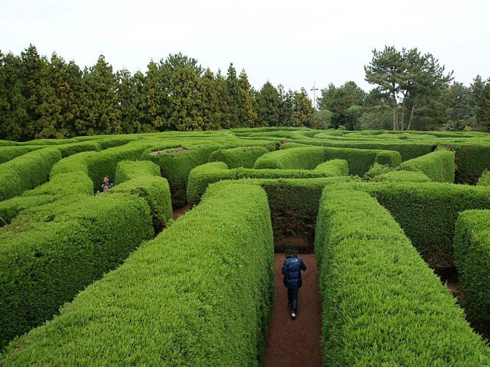 Gimnyeong Maze Park