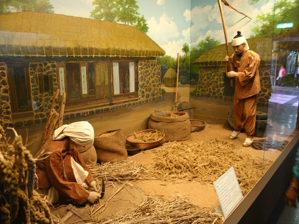 Folklore and Natural  History Museum