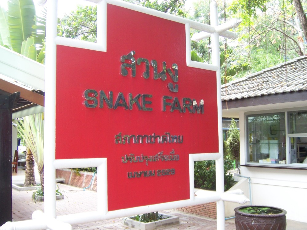 Snake Farm (Queen Saovabha Memorial Institute)