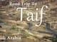 Saudi Arabia: Taif City Tour