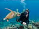 Sarigerme Diving Tour Experience With Hotel Transfer