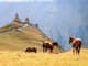 Ride A Horse To Gergeti Trinity Church And Summit A Mountain
