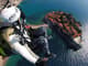 Paragliding Montenegro: Sveti Stefan Air Excursion