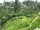 Best of Ubud Attractions: Private All-Inclusive Tour