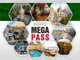 Madrid MegaCombo Tickets: Royal Palace & 3 Top Museums