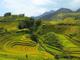 Lao Chai: Full-Day Ta Van Trek Tour from Sapa