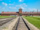 Auschwitz-Birkenau: Skip-the-Line Guided Tour from Krakow