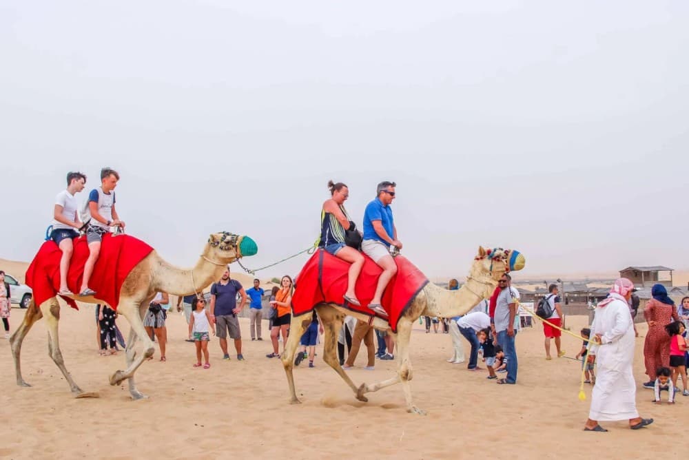 Dubai: Quad Bike Safari, Camels & Al Khayma Camp BBQ Dinner | ®ExcursionMania - Image 8