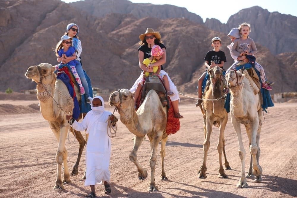 Hurghada: ATV Quad or Buggy Adventure Along the Sea & Mountains | ®ExcursionMania - Image 8