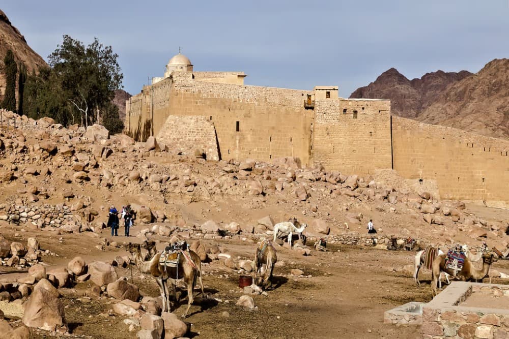 From Sharm: Mount Moses Trekking Sunrise & Monastery Visit | ®ExcursionMania - Image 12