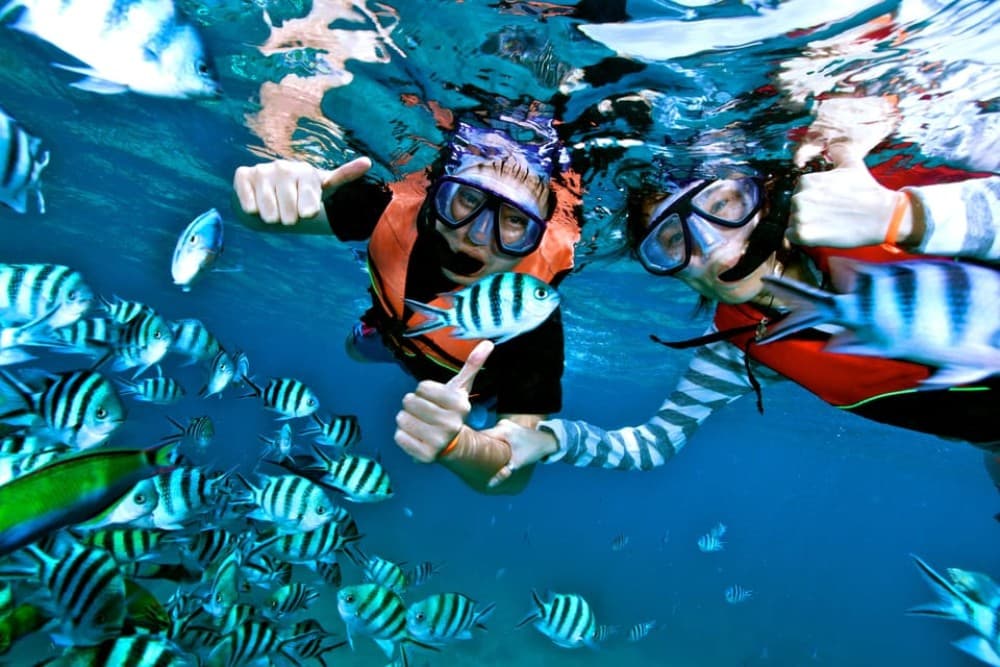 Hurghada: Dolphin & Coral Reef Snorkeling Tour with Lunch | ®ExcursionMania - Image 9