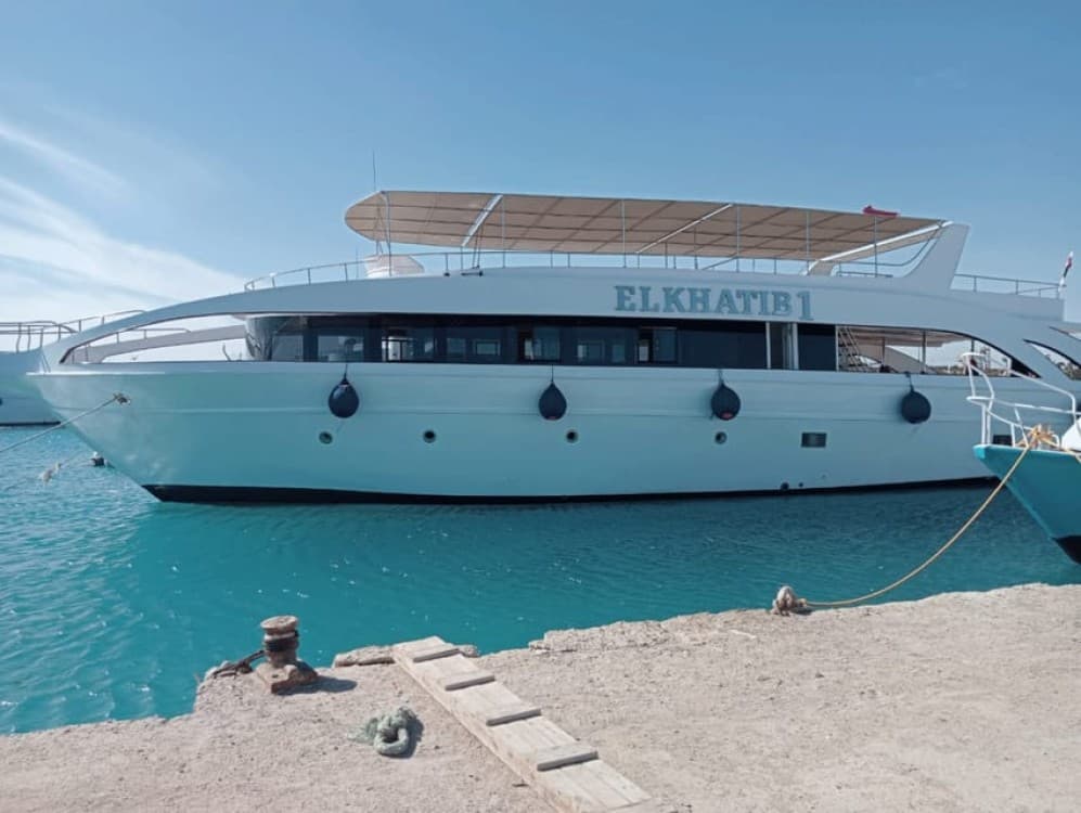 Hurghada: Dolphin & Coral Reef Snorkeling Tour with Lunch | ®ExcursionMania - Image 8