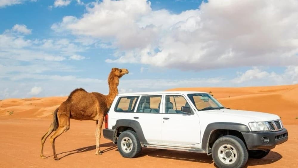 Wahiba Sand and Wadi Bani Khalid Guided Group Tour | ®ExcursionMania - Image 1